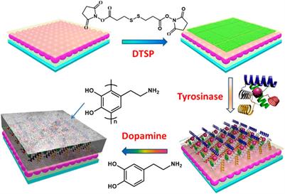 Optical Devices Constructed From Responsive Microgels for Polyphenols Detection